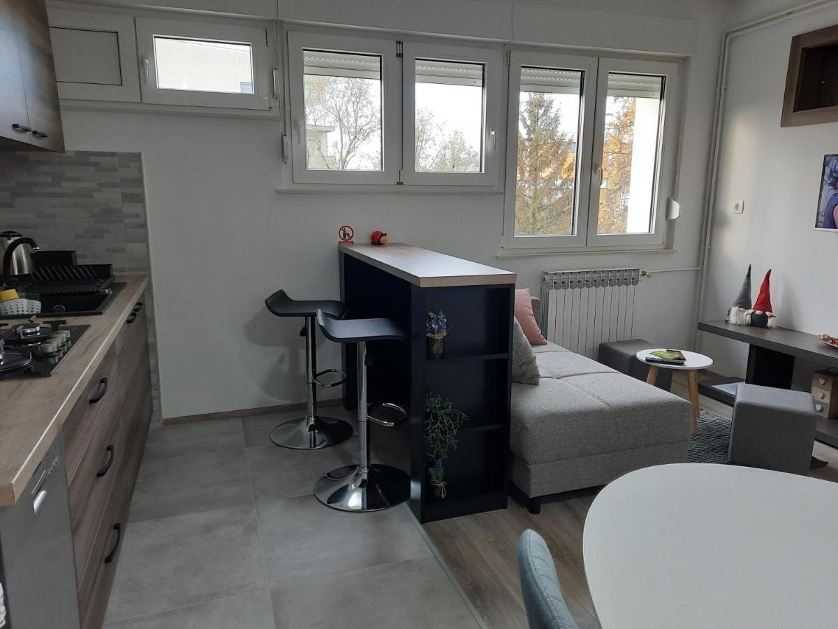 Apartman Ines Velika Gorica Exterior foto